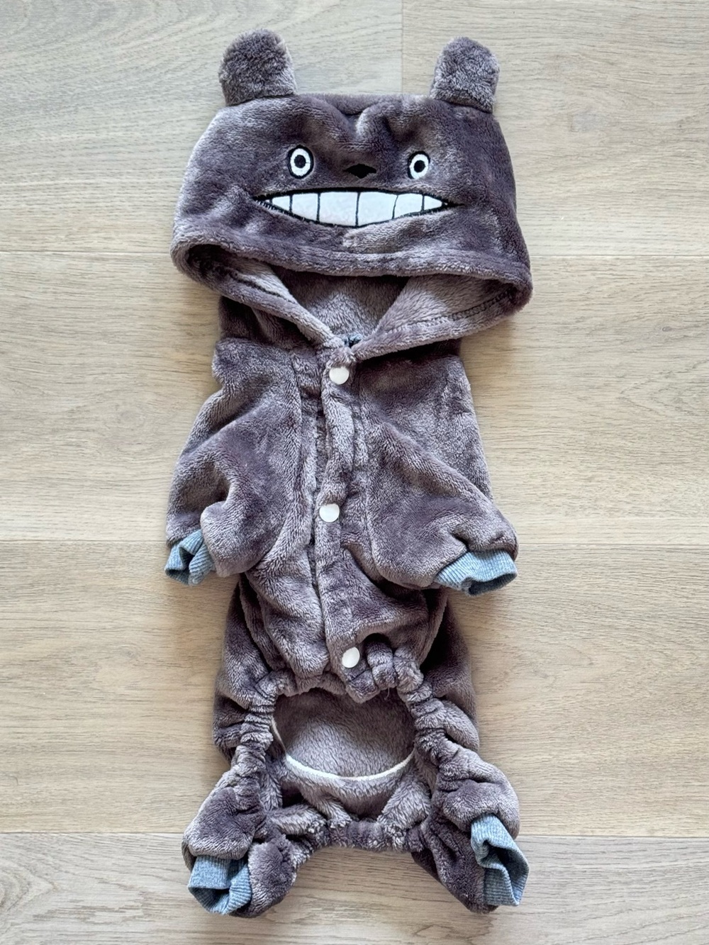 Small dog Totoro costume